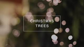 Christmas Tree Inspiration