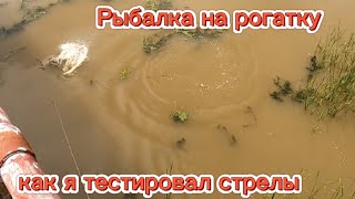 Охота с рогаткой на сазана.