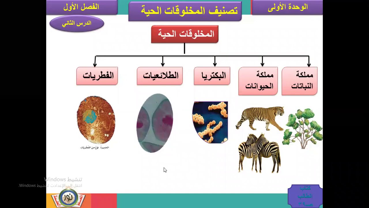 صف 4 تصنيف المخلوقات الحية الدرس الثاني - YouTube
