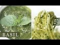 Basil Pesto Pasta Sauce Recipe 바질 페스토 파스타 소스 만들기