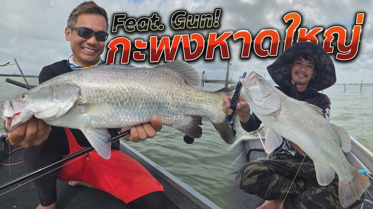 กะพงทะเลสาบสงขลา เหยื่อปลอม VS กุ้งเป็น Feat. Gun Fishing