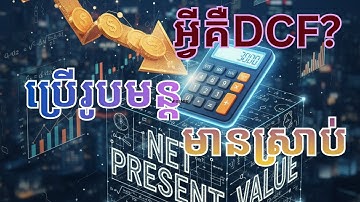 83. យល់ដឹងពី Discounted Cash Flow បង្ហាញពីរបៀបដាក់តួលេខ