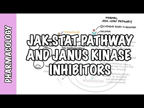 JAK (Janus Kinase Pathway) Inhibitor Tofacitinib - pharmacology, mechanism of action, side effects