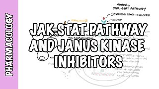 JAK (Janus Kinase Pathway) Inhibitor Tofacitinib - pharmacology, mechanism of action, side effects