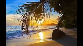 Safe And Sound slowed Pitch Drop  Rebelution