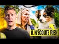 Ce chiot na aucun rappel  mordille nos conseils  sos educ dog ep 3