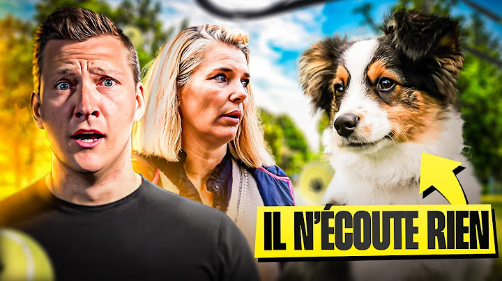 Ce CHIOT n'a AUCUN Rappel & Mordille (nos conseils) - Sos Educ Dog Ep 3