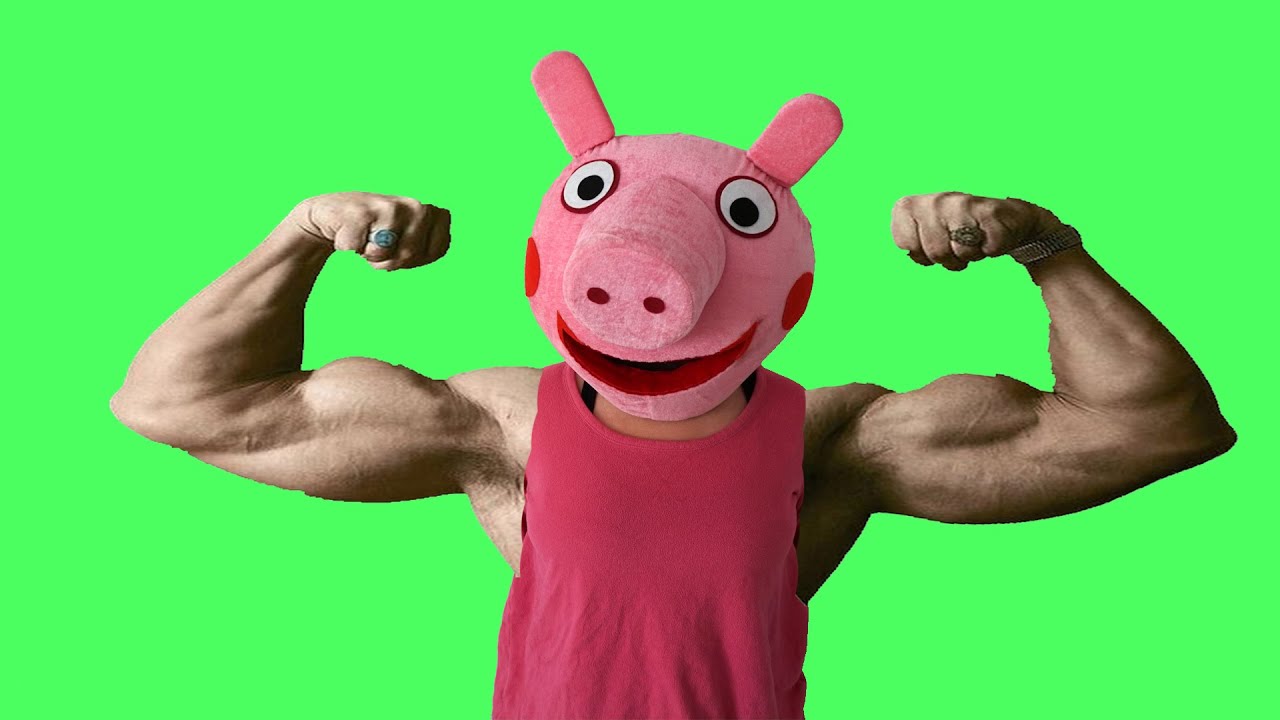 Накаченная свинья. Мускулистая Пеппа. Свинка Пеппа с мускулами. Накаченная Пеппа.