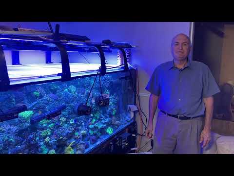 Paletta 500 - 1 year update - dinoflagellates and perfect flow