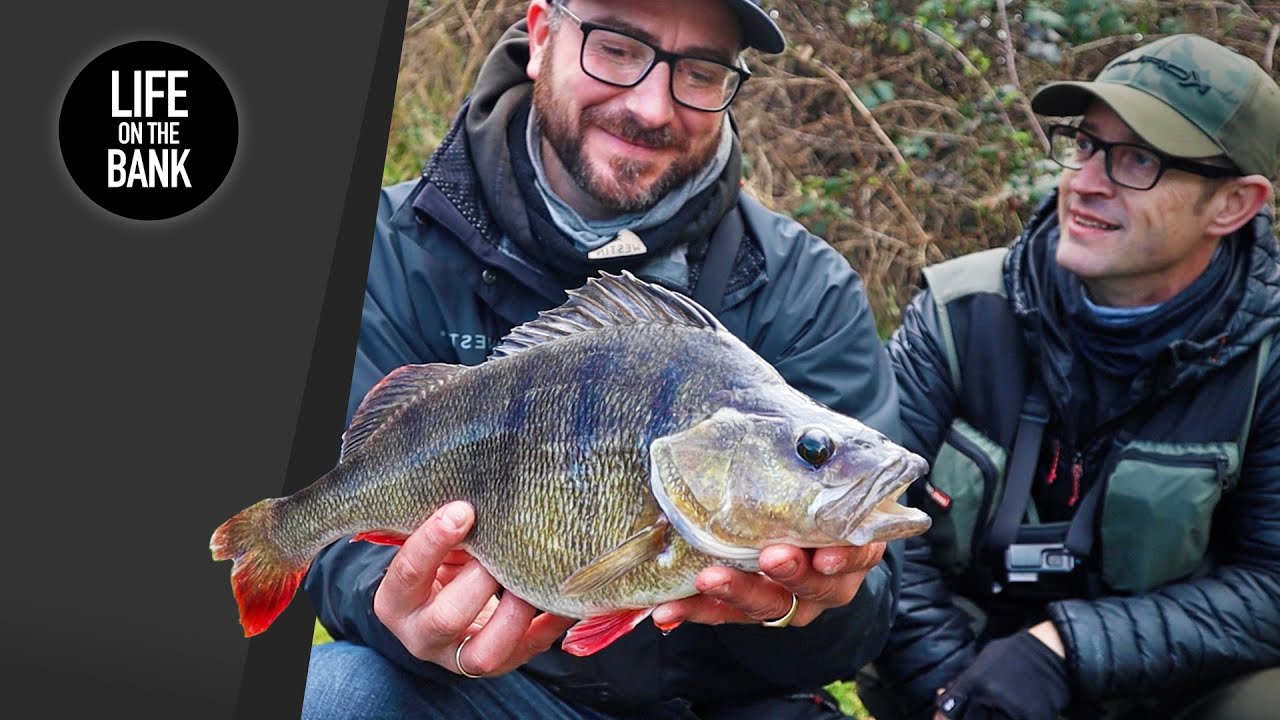 PERCH FISHING WITH LURES - How to fish a canal 