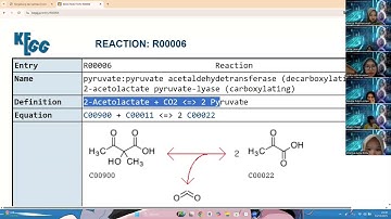 Praktikum Bioinformatika | Penggunaan web KEGG (Kyoto Encylopedia of Genes and Genoms)
