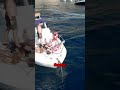 Вентотене  свежие морепродукты и приключения  #италия #море #travel
