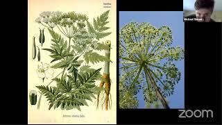Geometry in Nature with Michael Simoniello