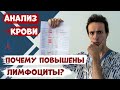 Почему повышены лимфоциты в анализе крови? Что с этим делать?