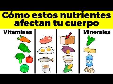 La Guía de las Vitaminas