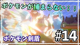 ＜５番道路＞ポケモンゲットに苦戦；；ソーナンスが超強くないですか？？？【ポケットモンスター ソード・シールド】#14