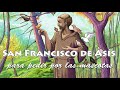 San Francisco de Asís   Oración para pedir por las mascotas, salud, protección, robos, extravíos y m