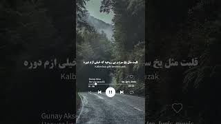 Her Yer Karanlık - Günay Aksoy