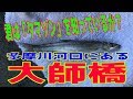 釣り動画ロマンを求めて 81釣目（大師橋：多摩川河口）