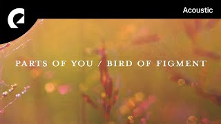 Video thumbnail of "Bird Of Figment feat. Divty - Promises"