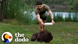 Guy Chases Down Wild Wombats To Save Their Lives | The Dodo