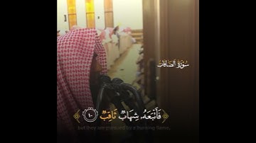 حالات وتس اب💕 محمد اللحيدان❤❤❤ سورة الصافات