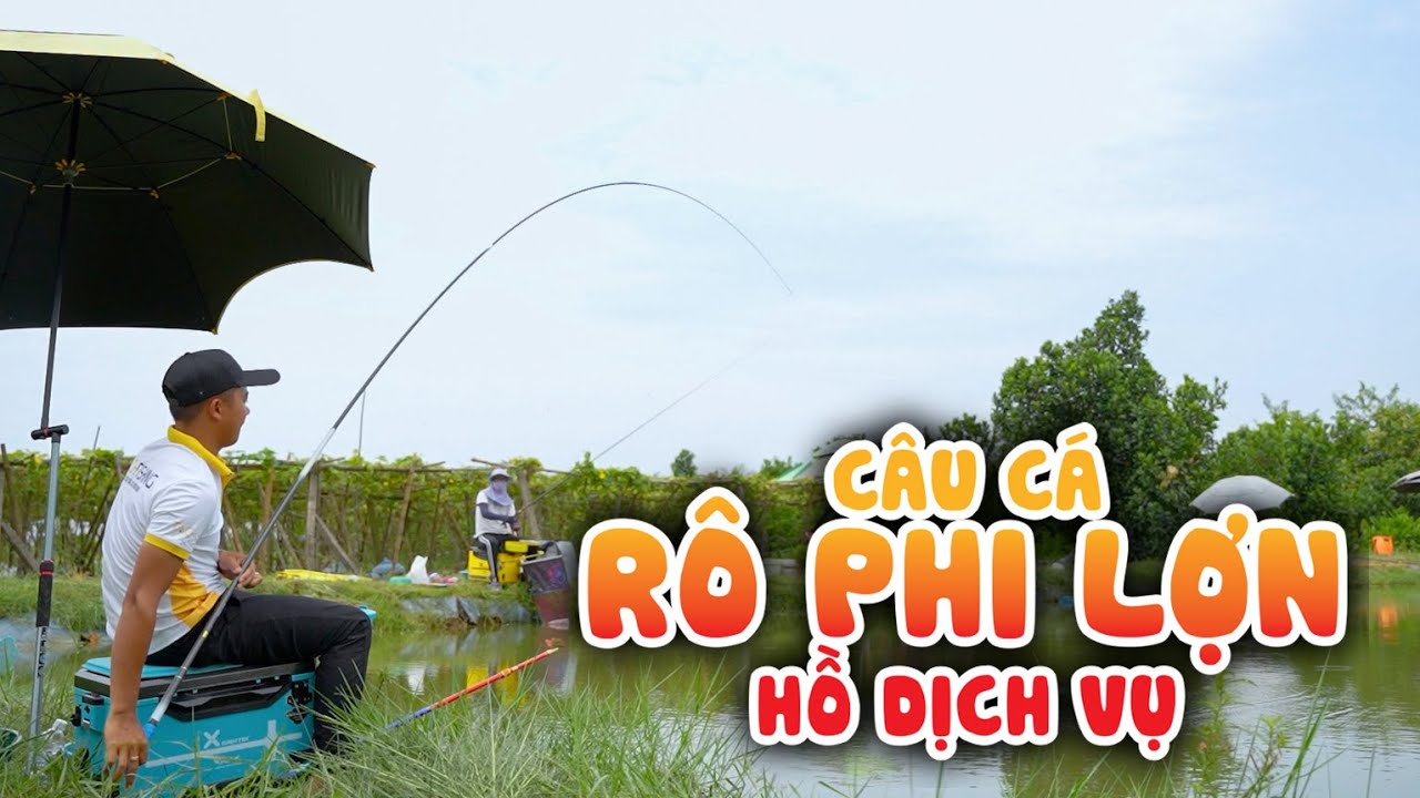 CÂU CÁ RÔ PHI LỢN 3-4KG | Câu Cá Hồ Dịch Vụ Mùa Hè - YouTube
