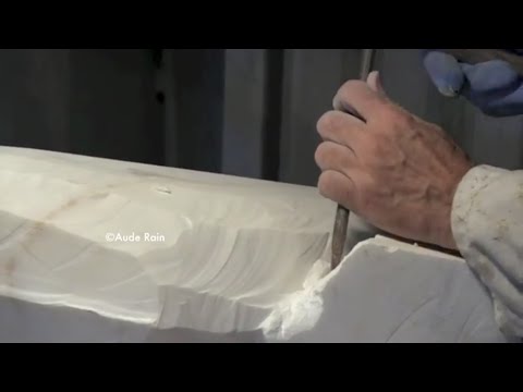 Vidéo: Comment Sculpter La Mante