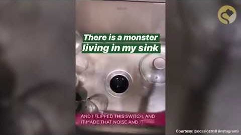 AOC GARBAGE DISPOSAL VIDEO - NOT PARODY