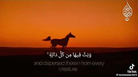 #اسلام_صبحي #سورة_لقمان #اكتب_شي_تؤجر_عليه #quran #راحه_نفسيه #مصر #العراق