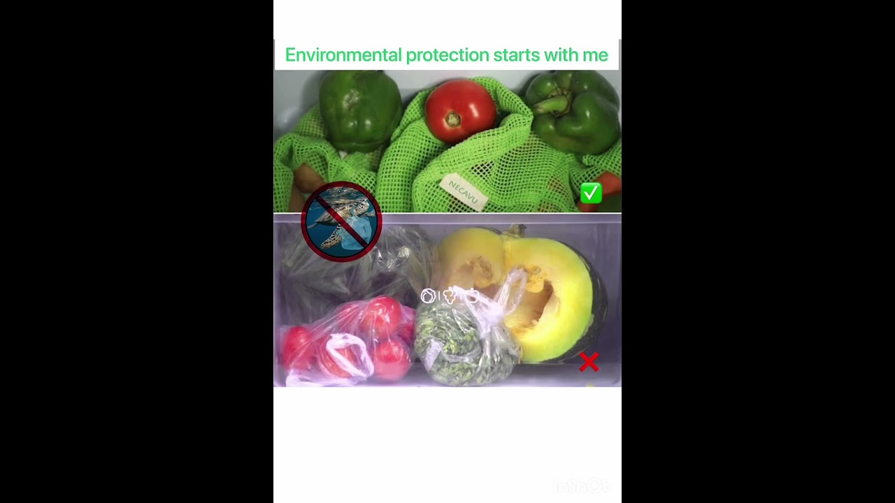 vegetable storage bag under RS 300