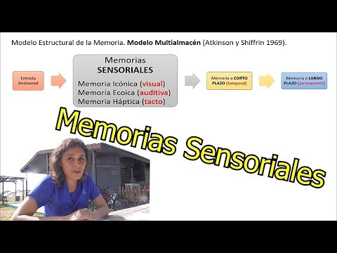 Video: ¿Cuáles son los tres tipos de memoria sensorial?