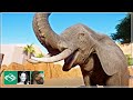 🐫 African Elephant habitat & underwater viewing | Desert Franchise Mode | Planet Zoo |