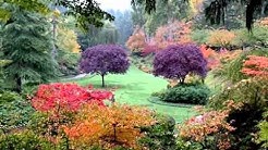 TELUK BAYUR - Durasi: 4:37. TELUK BAYUR - Durasi: 4:37.