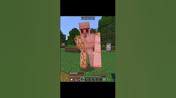 Minecraft but if you subscribe I get random item #minecraft #shorts @OfficialHimuXtream