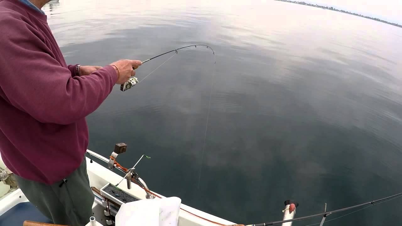 Lavarelli a sonda col cannino