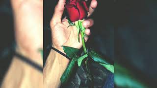 مهرجان بنت الجيران مسرع تعديل مميز - حالتي