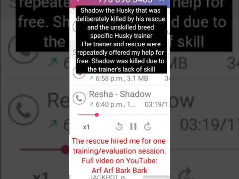 TELEPHONE CALL: Shadow The Husky (Killed By His Rescue After Hiring An Unskilled Dog Trainer)