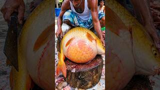 Amazing Cutting Skills || Big Carp Fish Cleaning & Cutting By Expert Fish Cutter