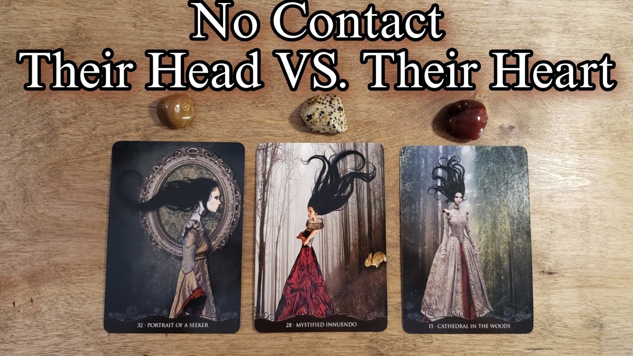 🤎🥀 No Contact | Their Head VS. Their Heart Pick A Card Reading How Are They Thinking & Feeling?