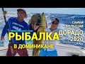 Индивидуальная трофейная рыбалка в Доминикане: гигантская дорадо - iDominicana.com