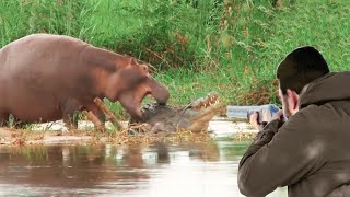 Moments that raise adrenaline  Hunter's encounters with wild predators by The Art Of Hunt 12,067 views 3 months ago 5 minutes, 15 seconds