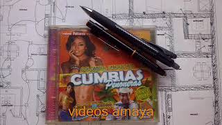 Video thumbnail of "andres ezequiel cumbia majestuosa"
