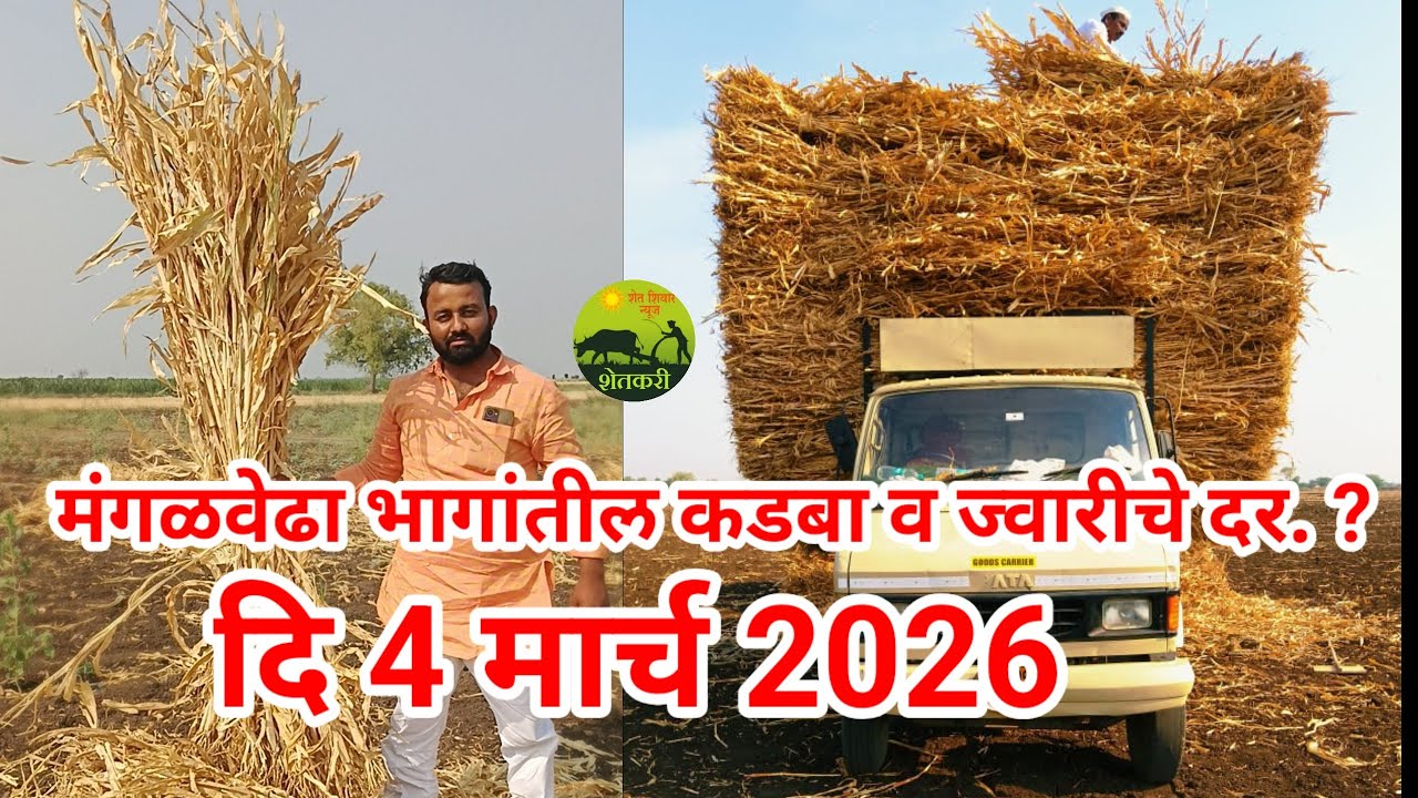 मंगळवेढा भागांतील कडबा व ज्वारीचे दर.? दि 4 मार्च 2026