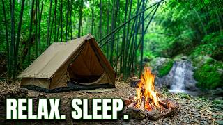 Cozy & Pure Relaxing  Camping alone in the Forest | For Sleeping Bamboo 🌿