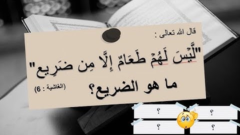 تثقف أكثر | ما مدى فهمك لمفردات القرآن الكريم ج3 _ ما معنى " ضريع" في الأية من سورة الغاشية؟