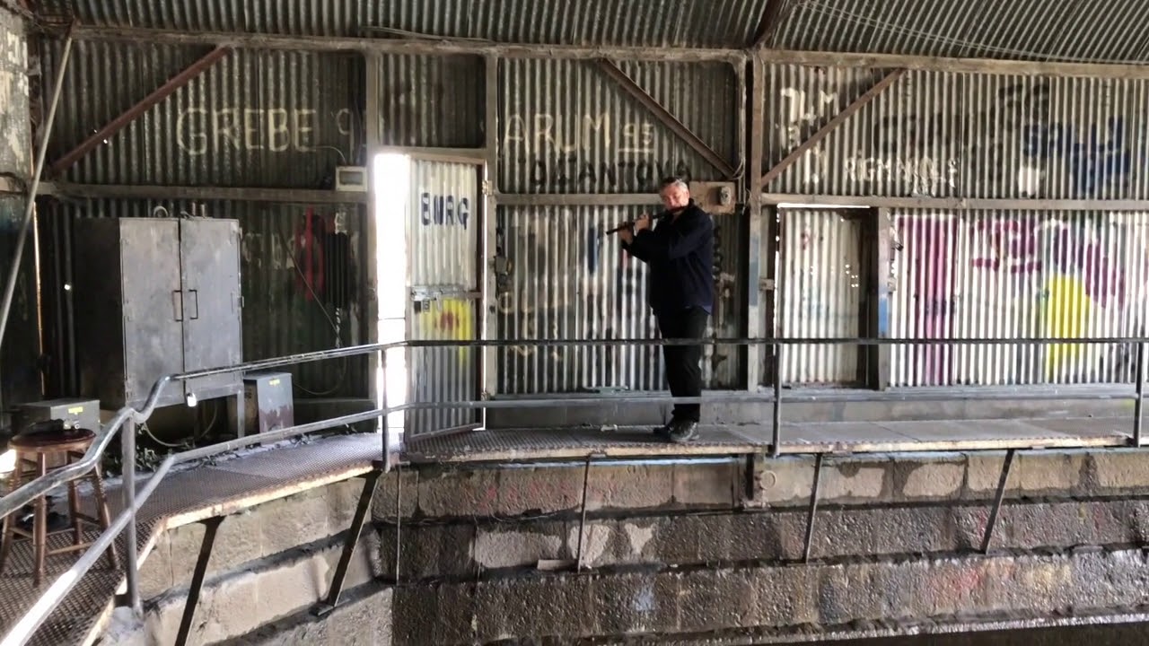 Ronan Browne: Cold Blows the Wind O'er My True Love