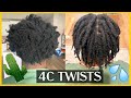 FROM DRY TO MOISTURIZED | MID SIZE TWIST ON 4C HAIR