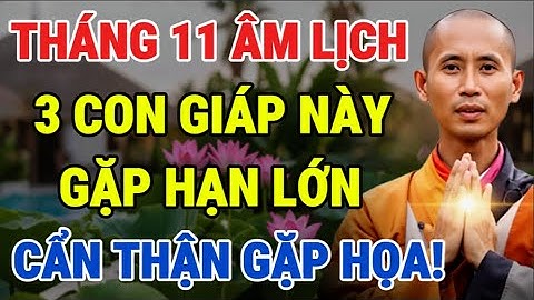 Tháng 11 Âm Lịch: 3 Con Giáp Gặp Hạn Lớn, Cẩn Thận Trắng Tay –  Gặp Họa!