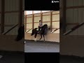 The Outdoor Was Being Dragged So We Had To Go Inside 